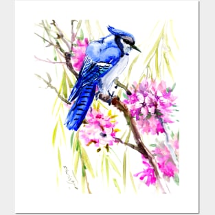 Blue Jay and Cherry Blossom Posters and Art